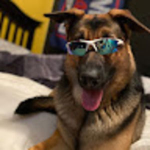 Meet your Posher, Tyler